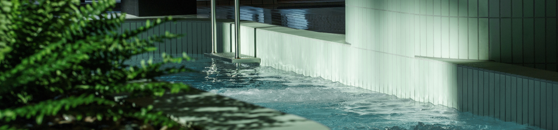 Udsigt over flisehjørne og plante i Plaskelandet Udsigt over flisehjørne og plante i Plaskelandet